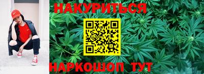 ECSTASY Гатчина